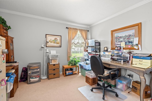 1005 S Main St, Mullins, SC 29574 - carpeted office space featuring crown molding