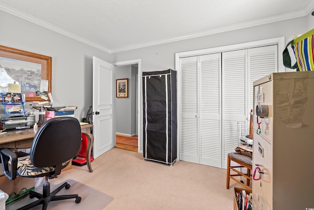 1005 S Main St, Mullins, SC 29574 - office space with ornamental molding and light colored carpet