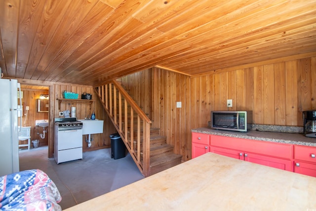 127 Brown Pelican Loop, Pawleys Island, SC 29585 - photo 6