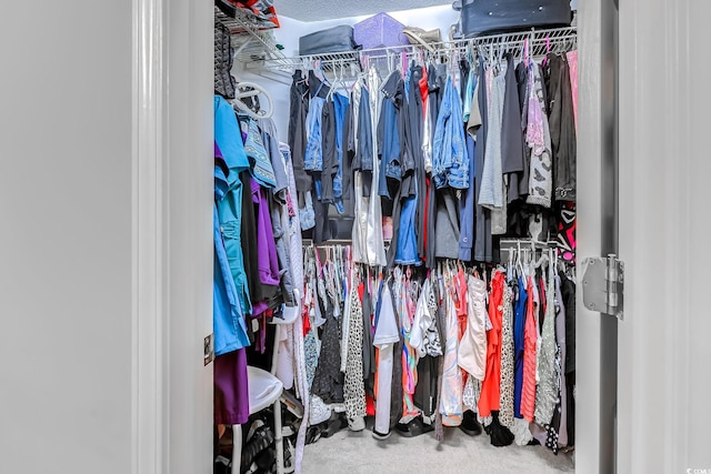 4355 Rivergate Ln Unit F, Little River, SC 29566 - view of spacious closet