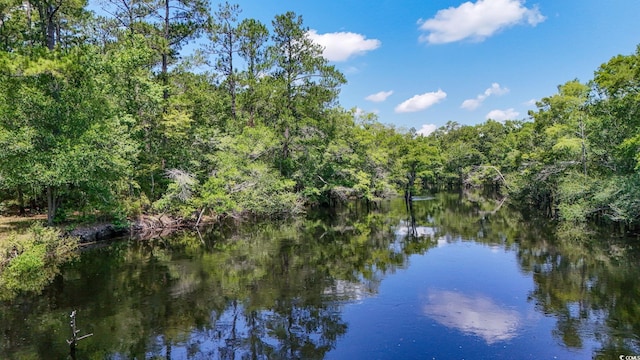 2879 Waccamaw Cv, Longs, SC 29568 - photo 8