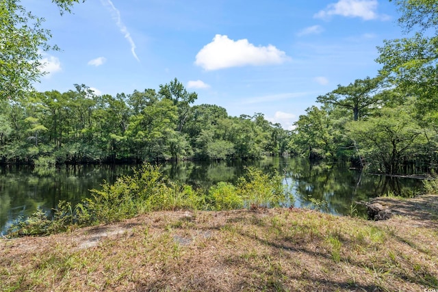 2879 Waccamaw Cv, Longs, SC 29568 - photo 25