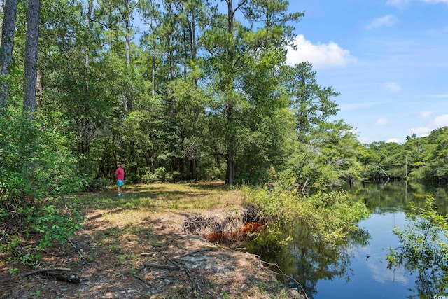 2879 Waccamaw Cv, Longs, SC 29568 - photo 26