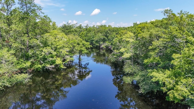 2879 Waccamaw Cv, Longs, SC 29568 - photo 29
