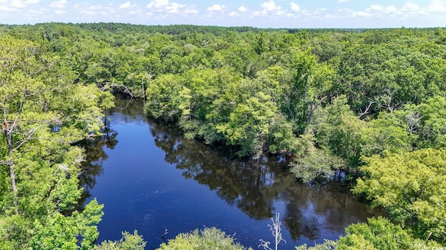 2879 Waccamaw Cv, Longs, SC 29568 - photo 33
