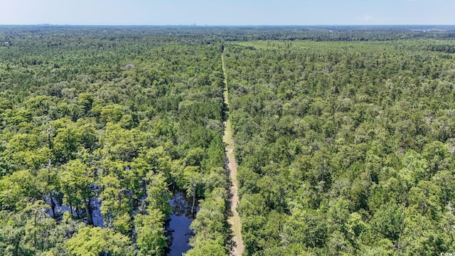 2879 Waccamaw Cv, Longs, SC 29568 - photo 36