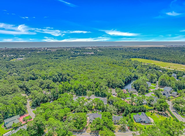 189 Aspen Loop, Pawleys Island, SC 29585 - aerial view of a forest and a nearby body of water
