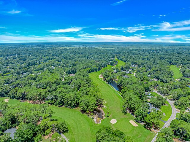 189 Aspen Loop, Pawleys Island, SC 29585 - drone / aerial view of a golf course and a large body of water
