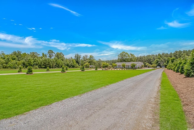 15810 County Line Rd, Andrews, SC 29510 - photo 35