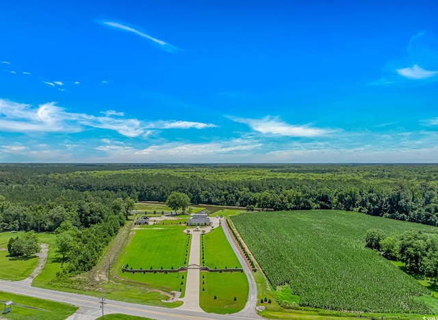 15810 County Line Rd, Andrews, SC 29510 - photo 34