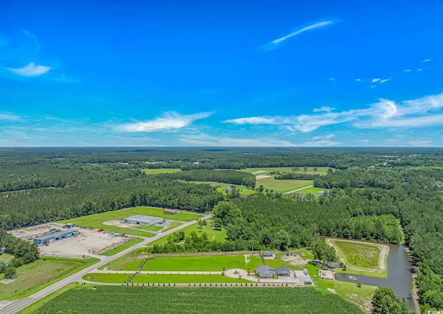 15810 County Line Rd, Andrews, SC 29510 - photo 33