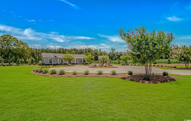 15810 County Line Rd, Andrews, SC 29510 - photo 30