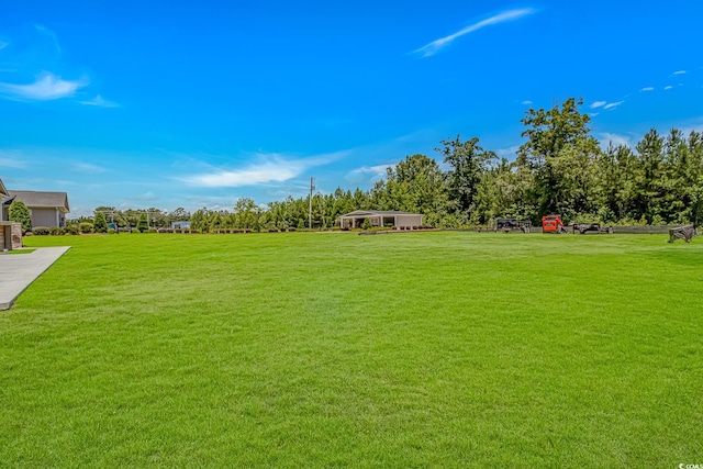 15810 County Line Rd, Andrews, SC 29510 - photo 27