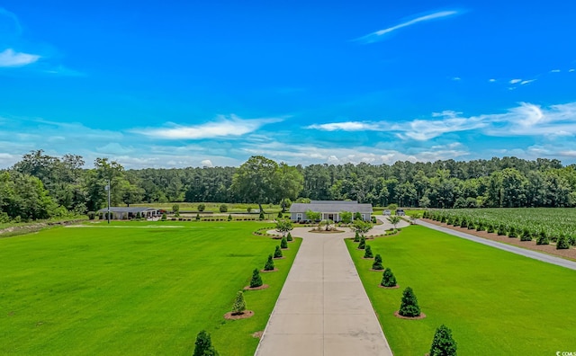 15810 County Line Rd, Andrews, SC 29510 - photo 2