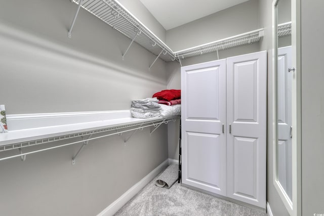 505 41st Ave S, North Myrtle Beach, SC 29582 - walk in closet with carpet flooring