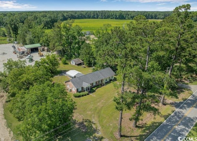 12721 Pleasant Hill Dr, Hemingway, SC 29554 - photo 3