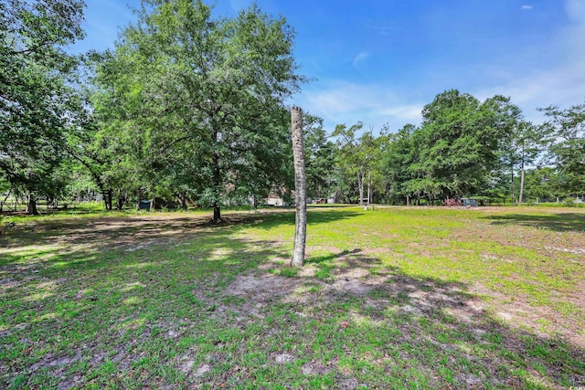10381 Hardwick Rd, Nichols, SC 29581 - photo 15