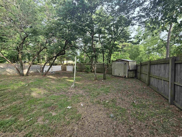 10381 Hardwick Rd, Nichols, SC 29581 - photo 5