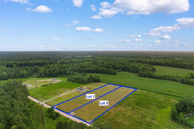 TBD Pleasant View Church Rd, Nichols, SC 29581 - photo 3