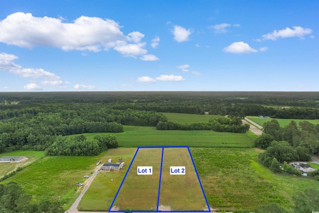 TBD Pleasant View Church Rd, Nichols, SC 29581 - photo 2