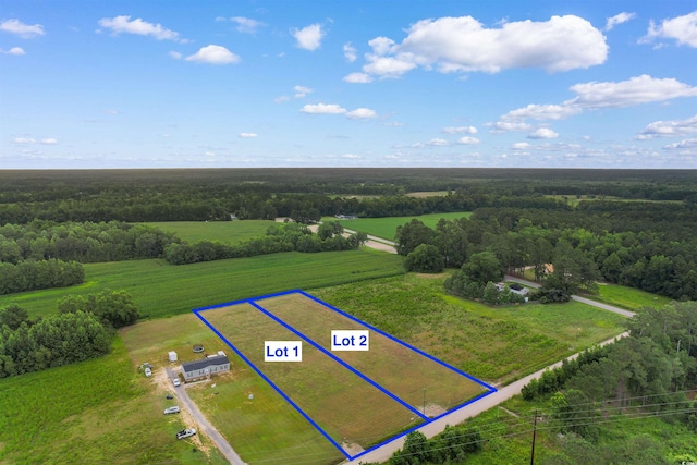 TBD Pleasant View Church Rd, Nichols, SC 29581 - photo 1