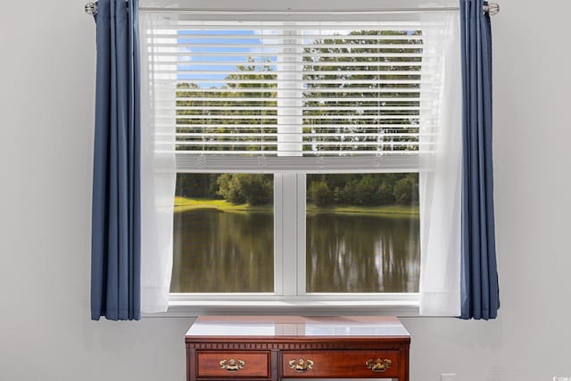 305 Forestbrook Cove Cir, Myrtle Beach, SC 29588 - detailed view of nearby water