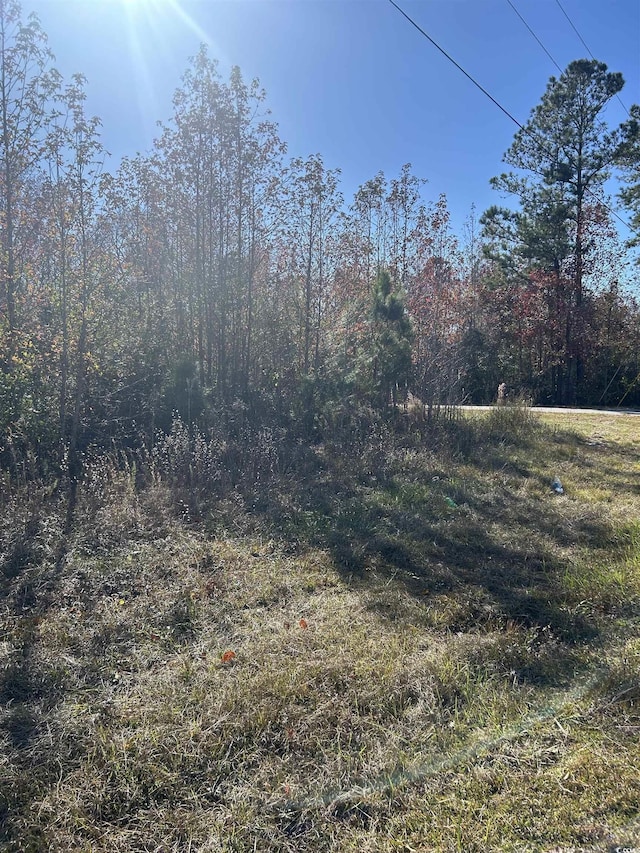 TBD Apple Valley Rd, Loris, SC 29569