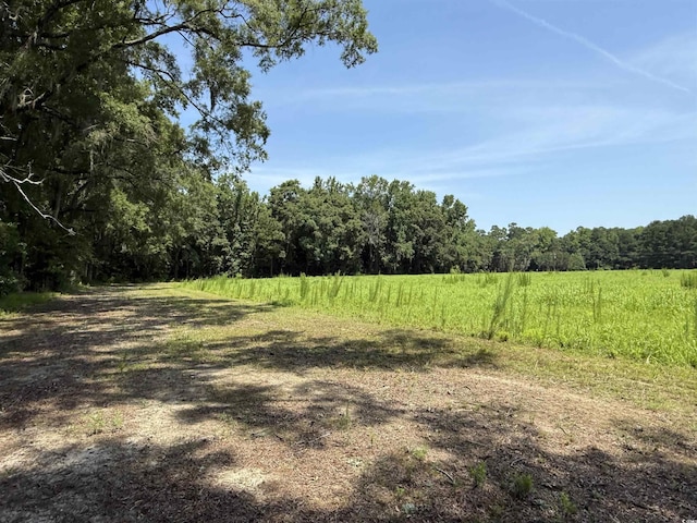 TBD Highway 668, Conway, SC 29526