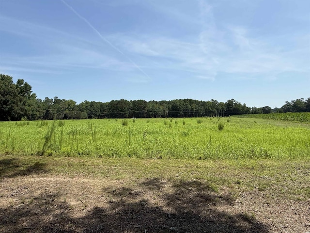 TBD Highway 668, Conway, SC 29526