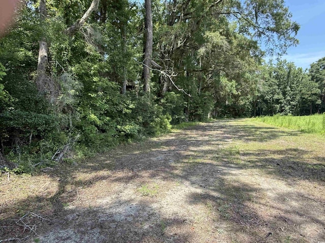 TBD Highway 668, Conway, SC 29526