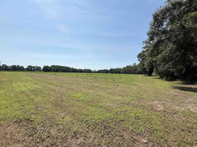 TBD Highway 668, Conway, SC 29526