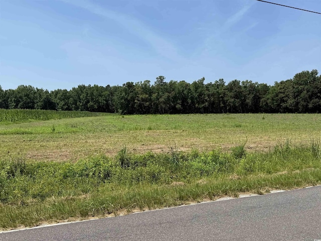 TBD Highway 668, Conway, SC 29526