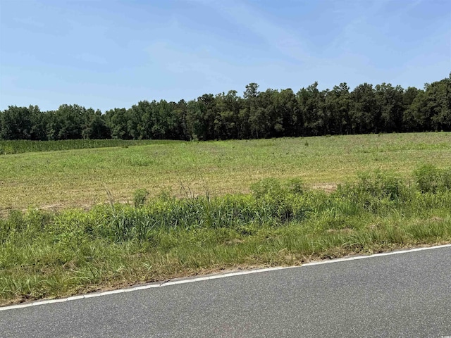 TBD Highway 668, Conway, SC 29526