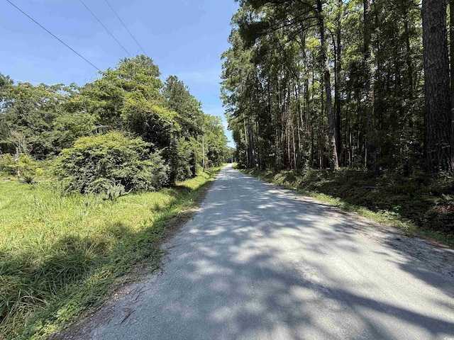 LOT6 Johnson Shelley Rd, Conway, SC 29526 - photo 4
