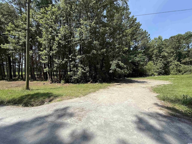 LOT6 Johnson Shelley Rd, Conway, SC 29526 - photo 3