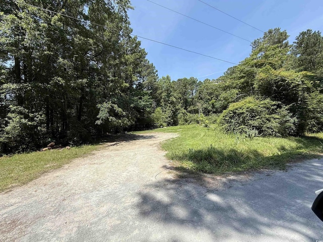LOT6 Johnson Shelley Rd, Conway, SC 29526 - photo 2
