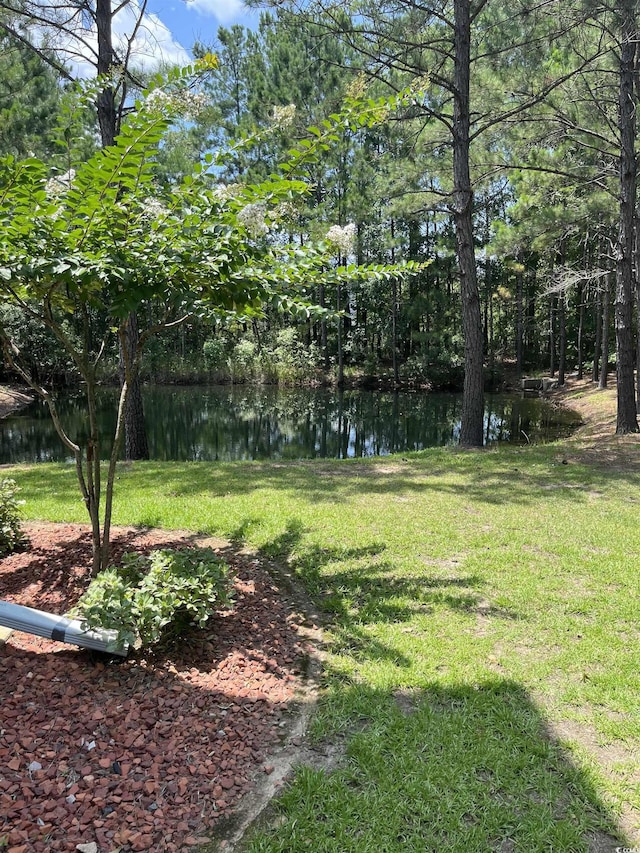 124 Birch N Coppice Dr Unit 1, Surfside Beach, SC 29575 - photo 34