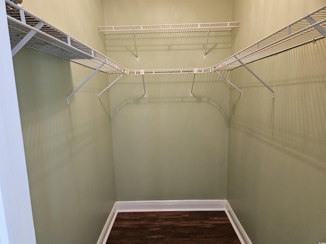 1028 Cherry Tree Ln, North Myrtle Beach, SC 29582 - walk in closet with wood finished floors