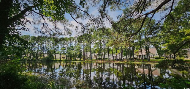 6400 Longwood Dr, Murrells Inlet, SC 29576 - photo 31
