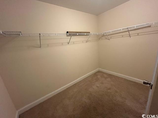 298 Weyburn St, Myrtle Beach, SC 29579 - spacious closet featuring carpet flooring