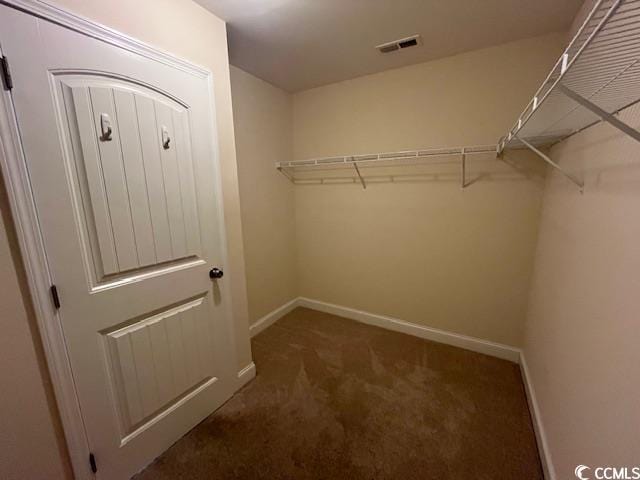 298 Weyburn St, Myrtle Beach, SC 29579 - spacious closet featuring carpet flooring