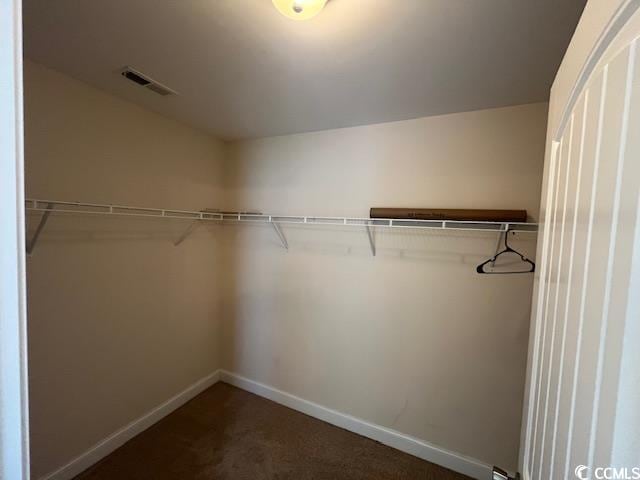 298 Weyburn St, Myrtle Beach, SC 29579 - walk in closet with dark carpet