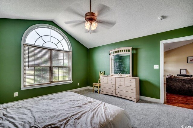 301 Farmtrac Dr, Galivants Ferry, SC 29544