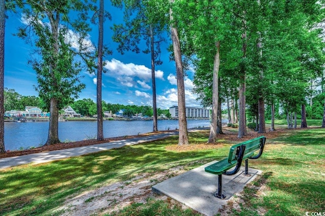 695 Riverwalk Dr Unit 101, Myrtle Beach, SC 29579 - photo 35
