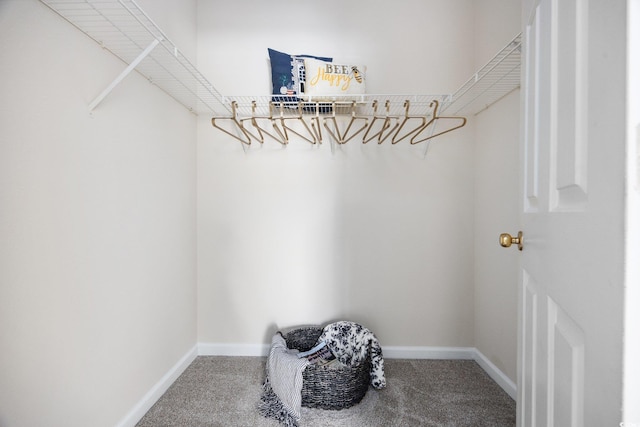 155 Chenoa Dr Unit E, Murrells Inlet, SC 29576 - walk in closet featuring carpet floors