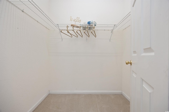 155 Chenoa Dr Unit D, Murrells Inlet, SC 29576 - walk in closet featuring carpet