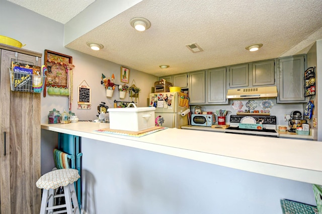 1025 Plantation Dr Unit 2413/2414, Little River, SC 29566 - kitchen featuring under cabinet range hood, electric range, freestanding refrigerator, a textured ceiling, and a peninsula