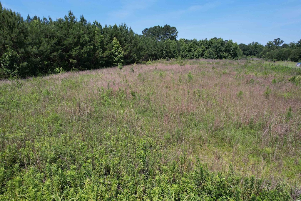 3.7ACRES-TBD Marion Church Rd, Salters, SC 29590 - photo 1