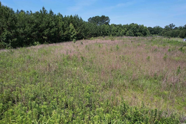 3.7ACRES-TBD Marion Church Rd, Salters, SC 29590 - photo 1