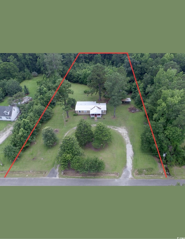 667 Jungle Rd, Conway, SC 29526 - photo 1